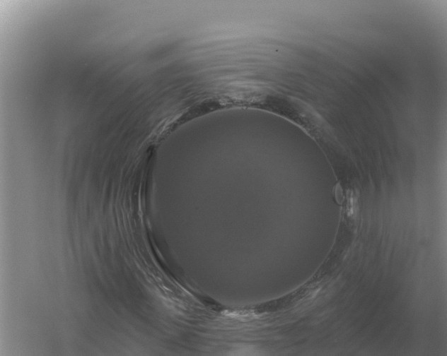 X0000058140915200509302015