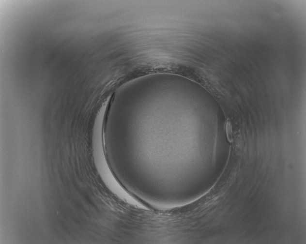 X0000058140916200509302015