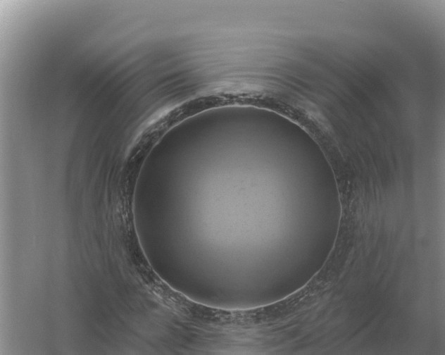 X0000058140920200509302015