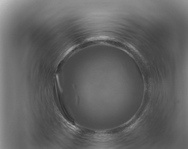 X0000058140921200509302015