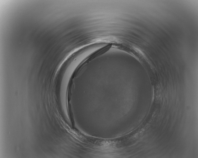 X0000058140923200509302015