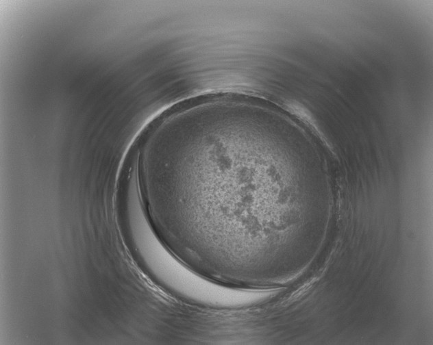 X0000058140924200509302015