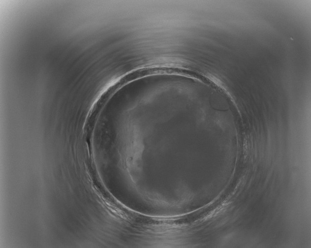 X0000058140925200509302015