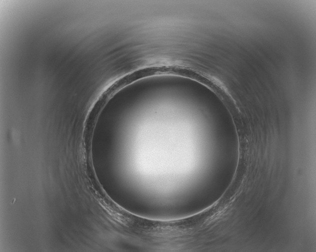 X0000058140927200509302015