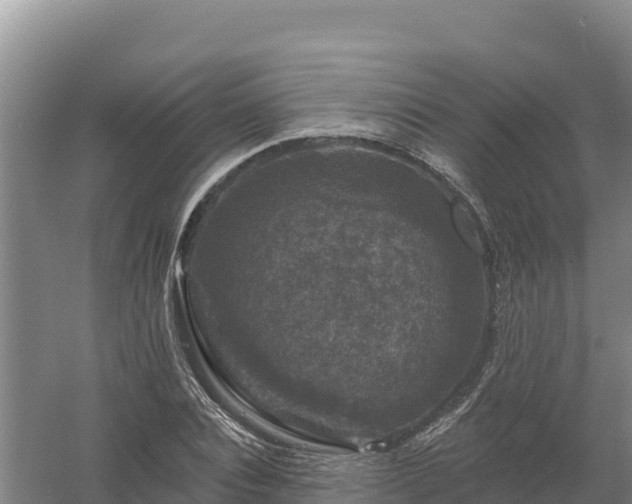 X0000058140928200509302015