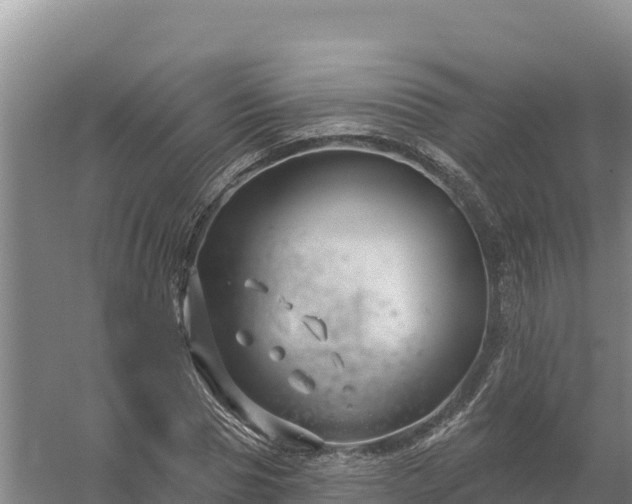 X0000058140929200509302015