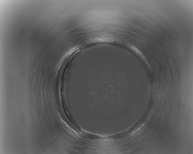 X0000058140930200509302015