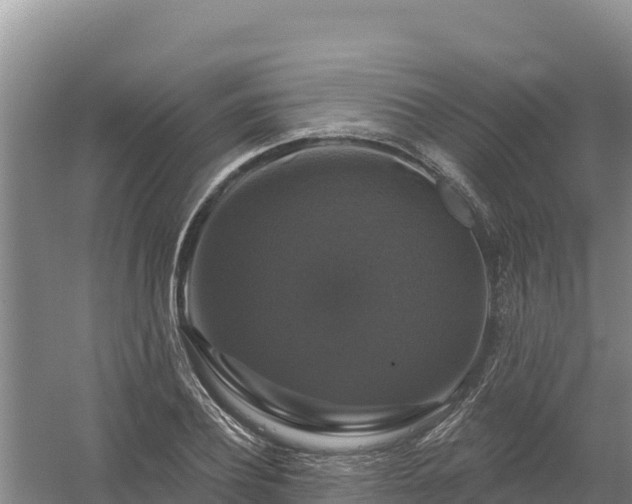 X0000058140932200509302015