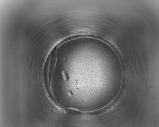 X0000058140933200509302015