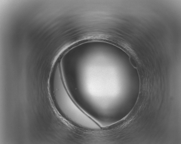 X0000058140936200509302015