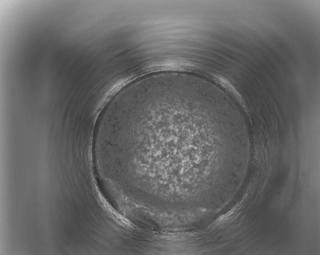 X0000058140938200509302015