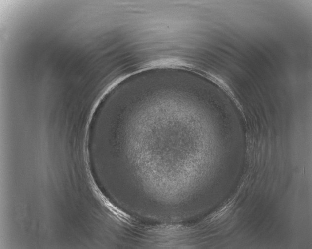 X0000058140939200509302015