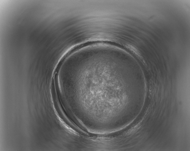 X0000058140942200509302015