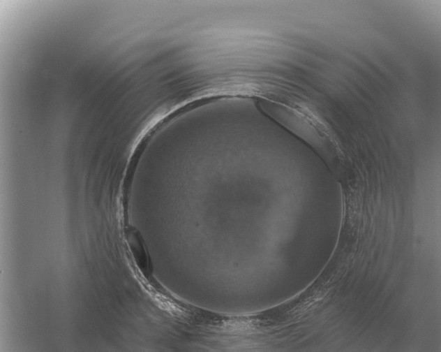 X0000058140944200509302015