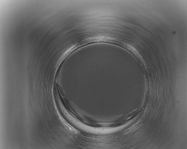 X0000058140946200509302015