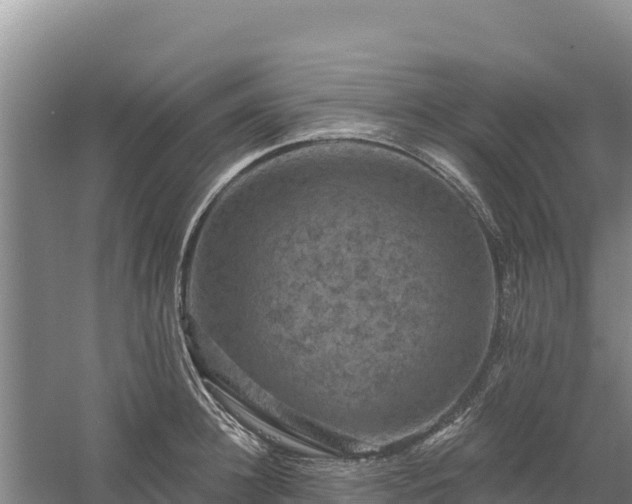 X0000058140948200509302015