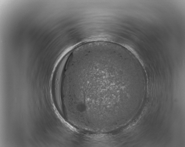 X0000058140949200509302015