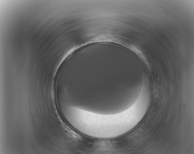 X0000058140950200509302015