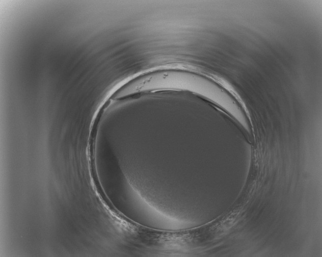 X0000058140951200509302015