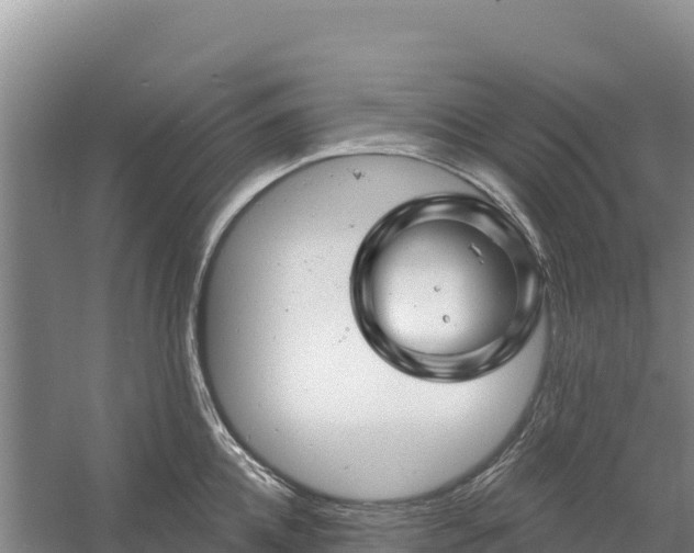 X0000058140952200509302015