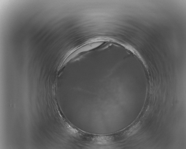 X0000058140953200509302015