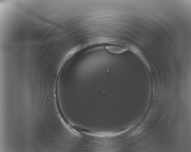 X0000058140954200509302015