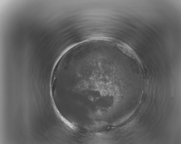 X0000058140955200509302015