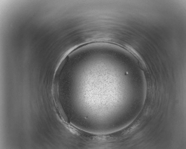 X0000058140956200509302015