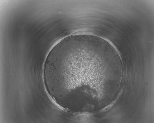 X0000058140957200509302015