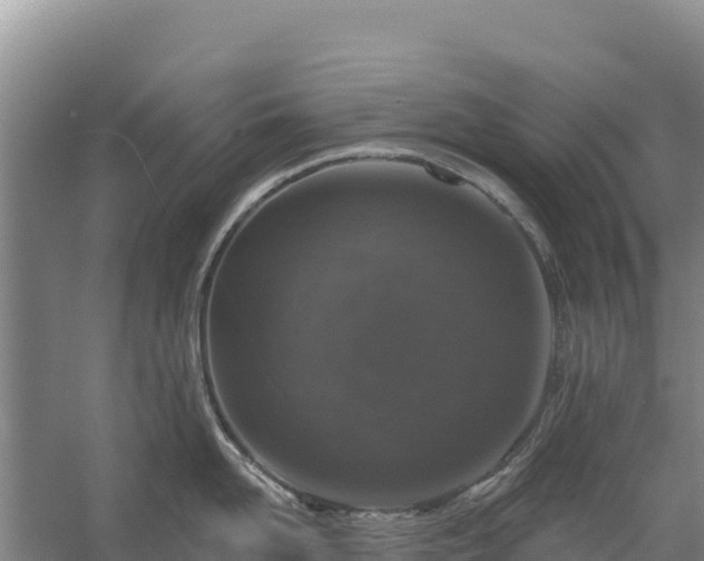 X0000058140958200509302015