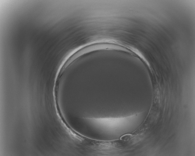 X0000058140959200509302015