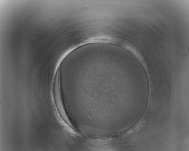 X0000058140960200509302015