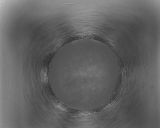 X0000058140963200509302015