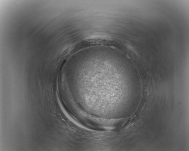 X0000058140965200509302014