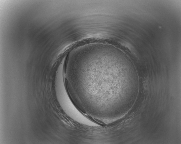 X0000058140968200509302014