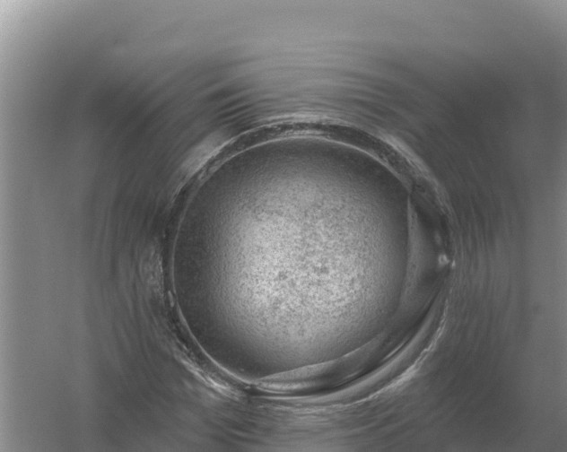 X0000058140969200509302014