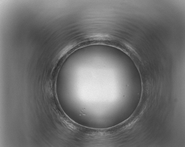 X0000058140970200509302014