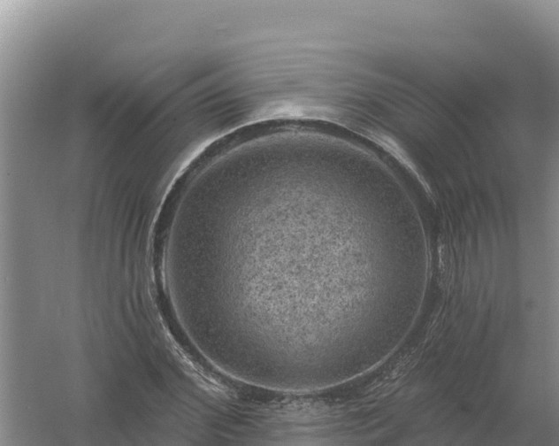 X0000058140972200509302014