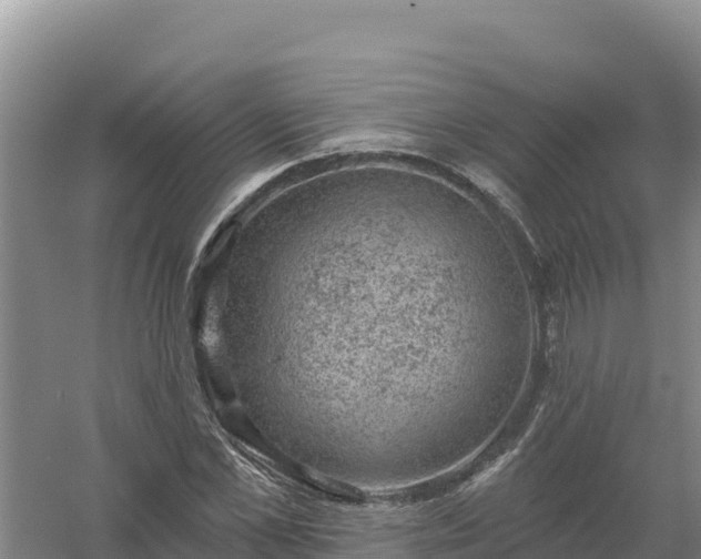 X0000058140973200509302014