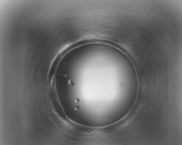 X0000058140974200509302014