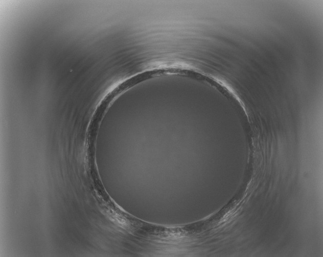 X0000058140975200509302014