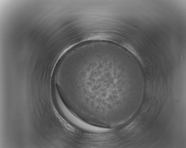 X0000058140980200509302014