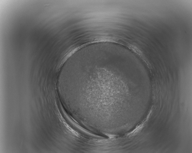 X0000058140985200509302014