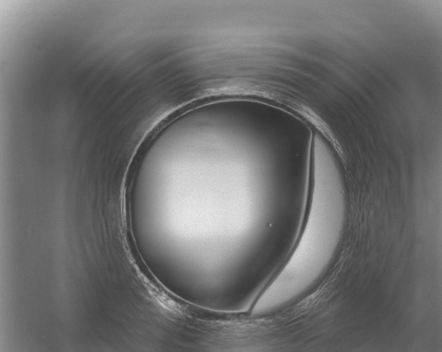 X0000058140988200509302014