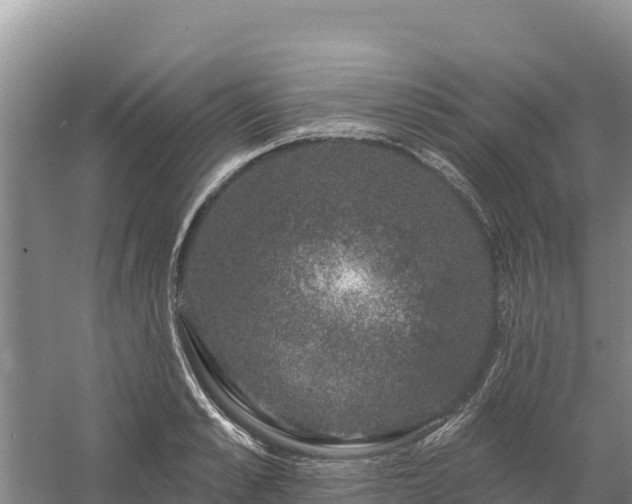 X0000058140989200509302014