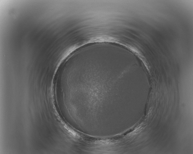 X0000058140990200509302014