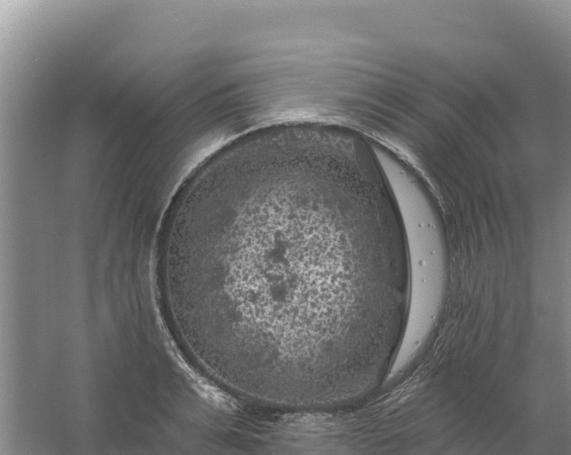 X0000058140991200509302014