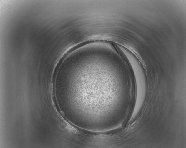 X0000058140992200509302014