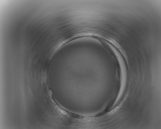 X0000058140993200509302014