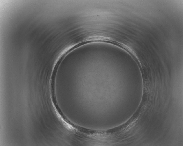 X0000058140995200509302014